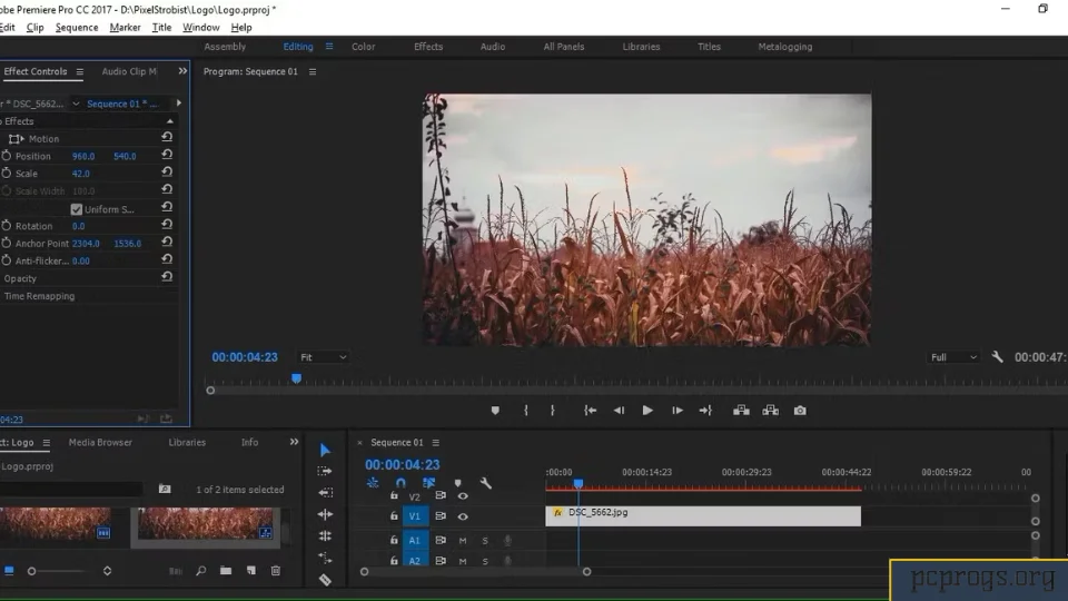 скачать Adobe Premiere Pro CC 2019 крякнутый на русском-Pc Progs