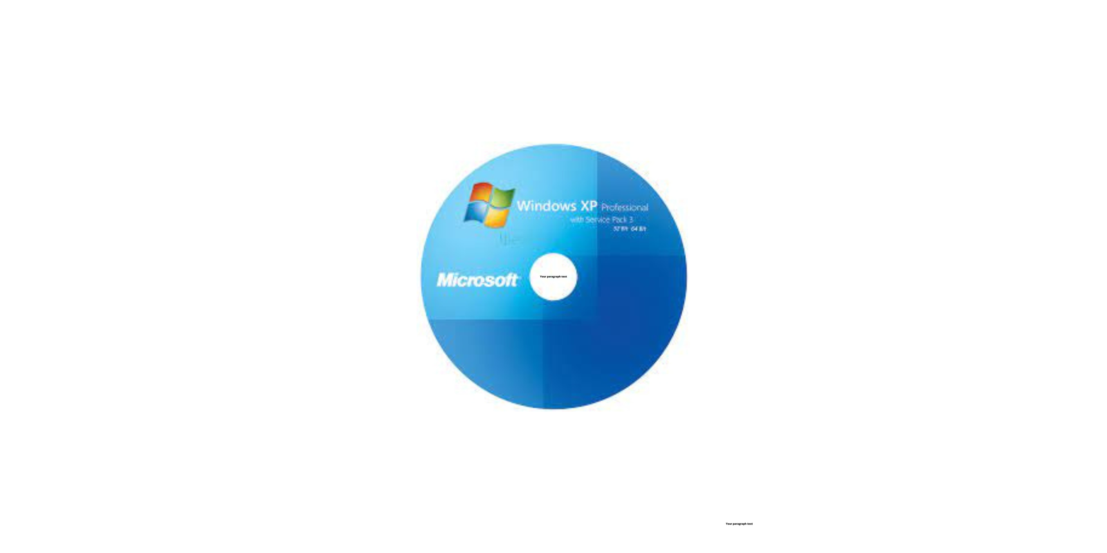 Windows XP Professional SP3