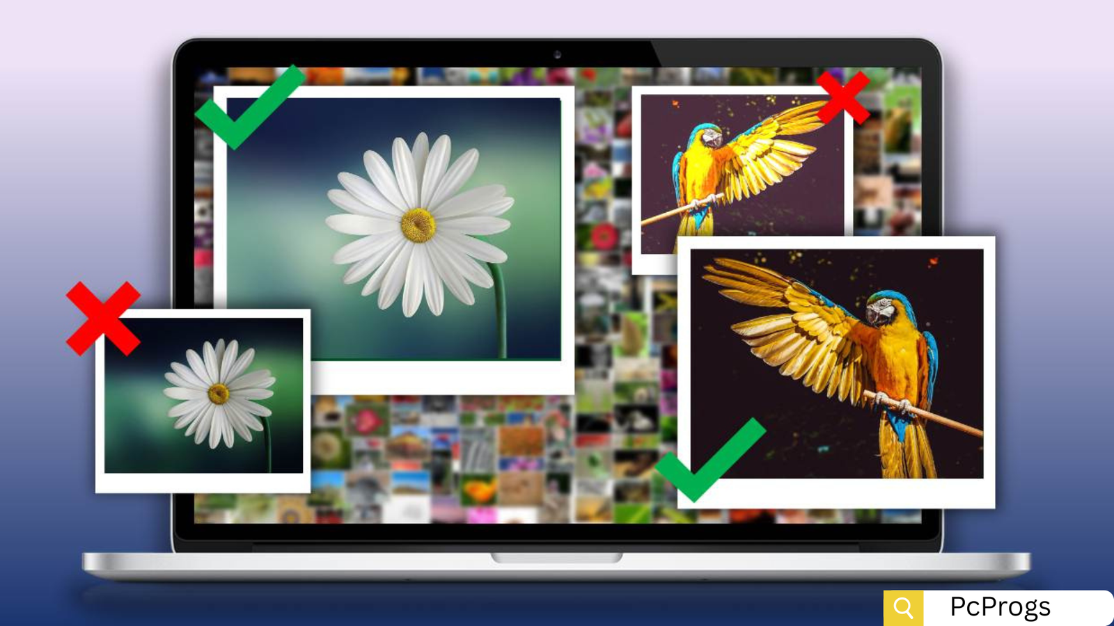 Duplicate Photo Cleaner 